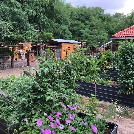 Szc Lovasbirtok Villa Lipotmajor